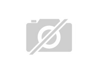 Suche süßen lieben mops